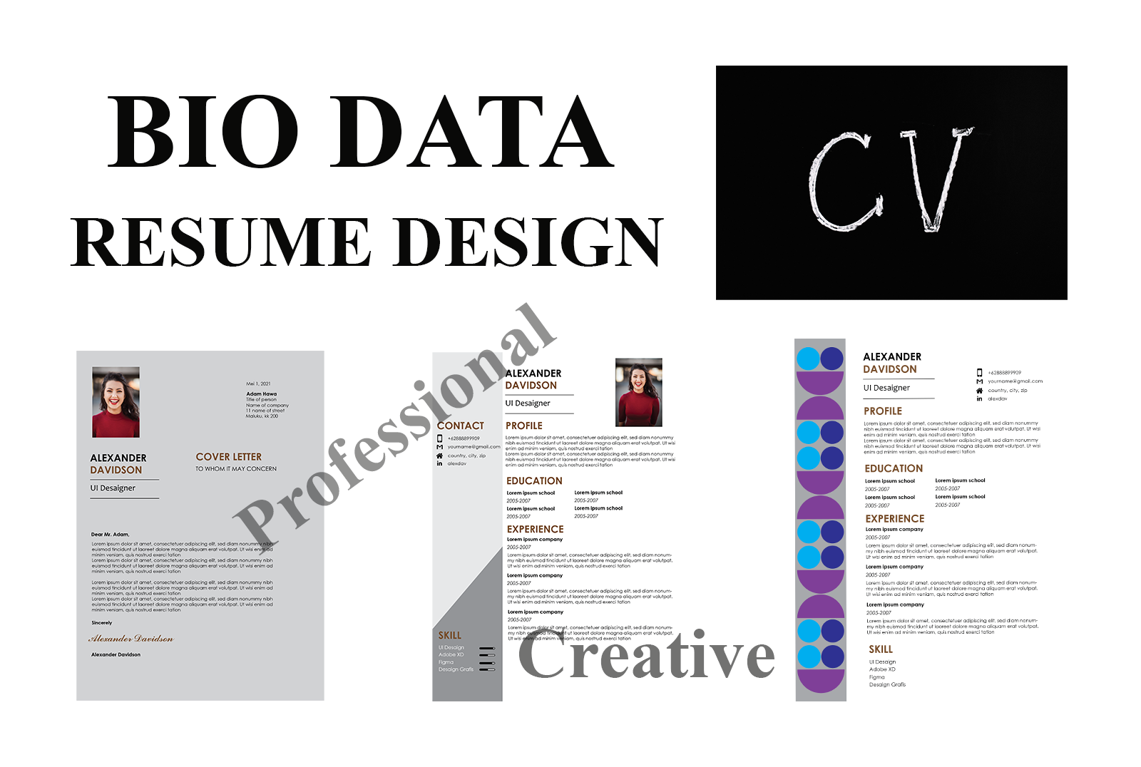 I will prepare a biodata, curriculum vitae and a res...