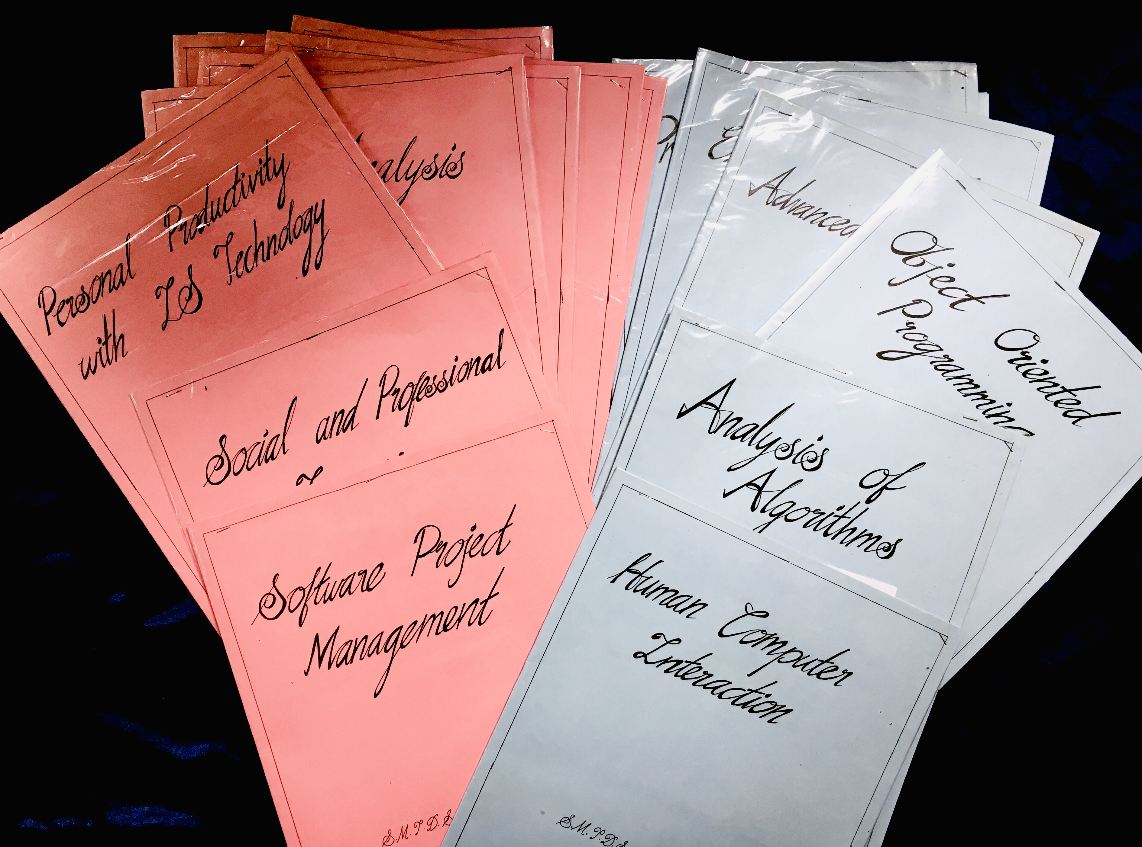 I will do beautiful handwriting professionaly