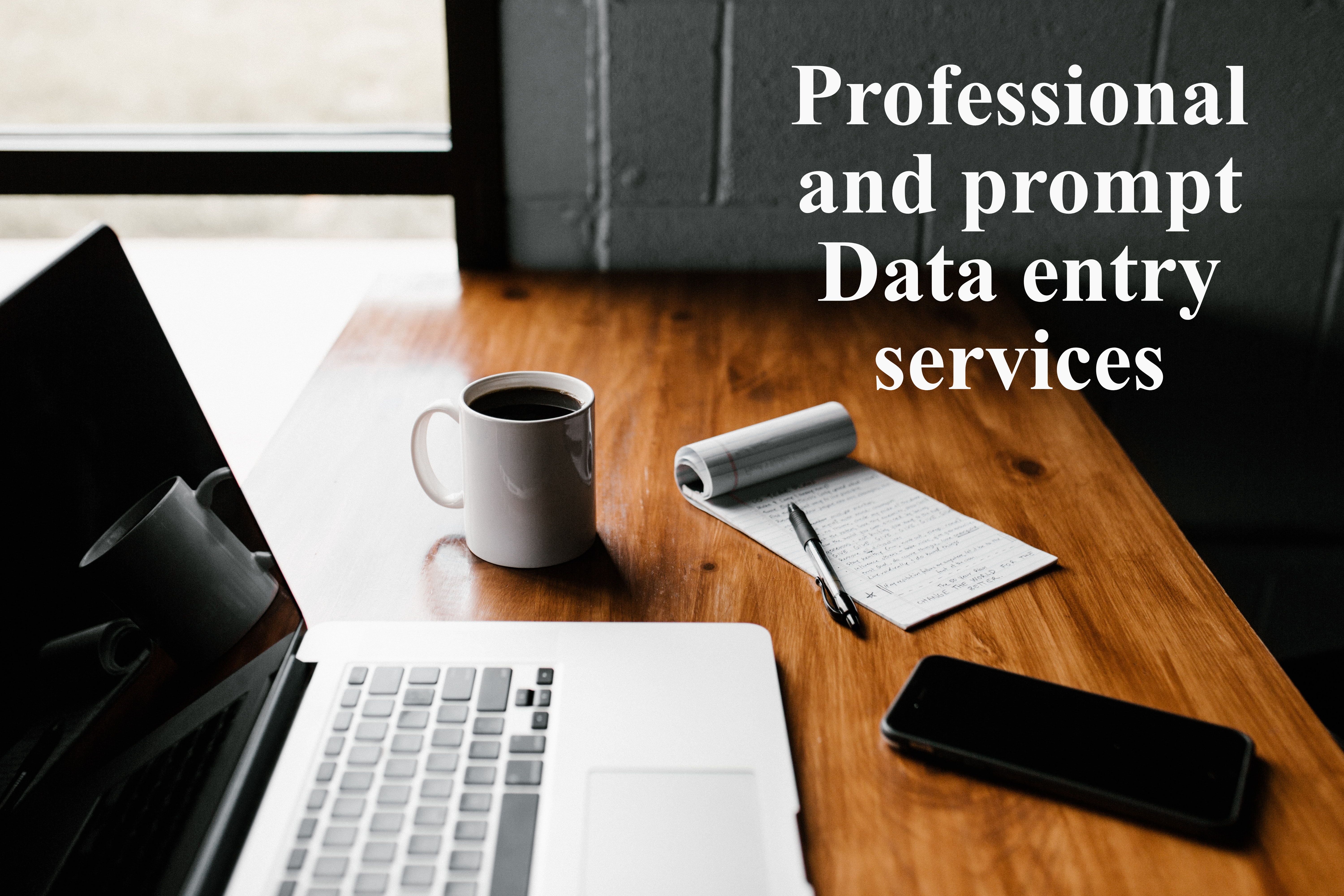 I will provide professional and prompt data entry ser...
