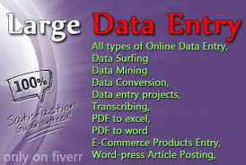 i will do data entry and copy past and translation ex...