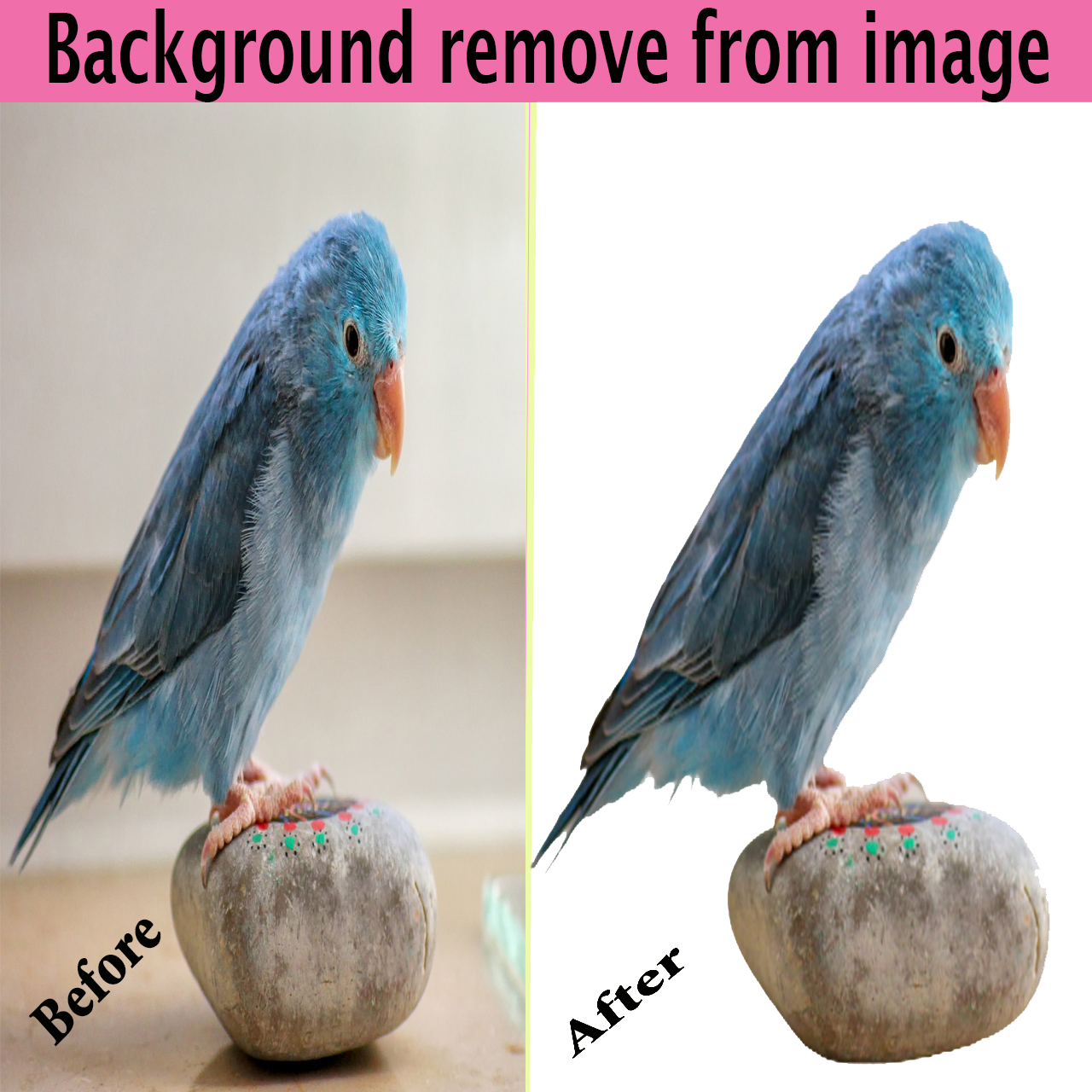 Provide background remove from images.