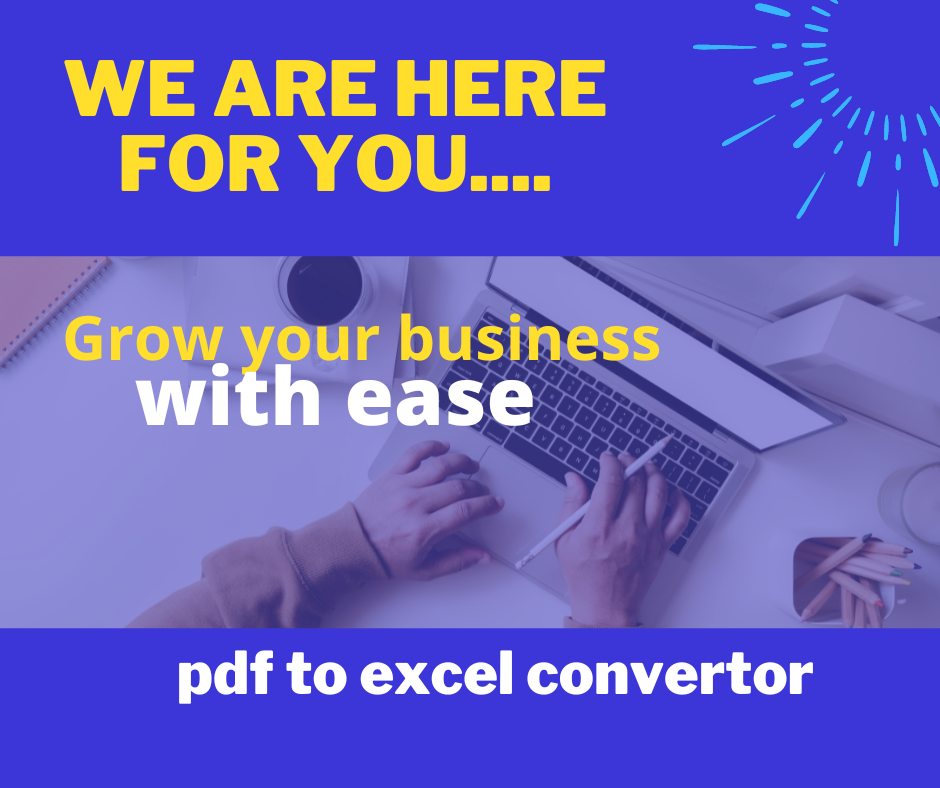 I am a Professional pdf to excel convertor with good ...