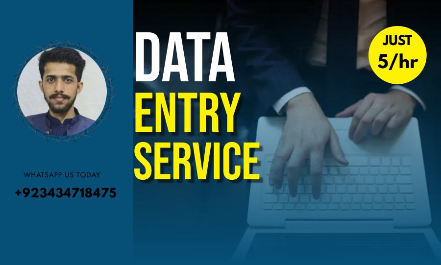 Data Entry, Data Scrapping Data Mining, Data Extrac...