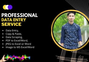 I will do data entry, copy paste, PDF to excel/word...