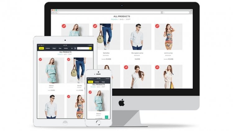 create professional wordpress ecommerce Website and a...