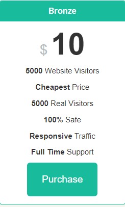 I will send 5000 real USA web traffic visitors to you...