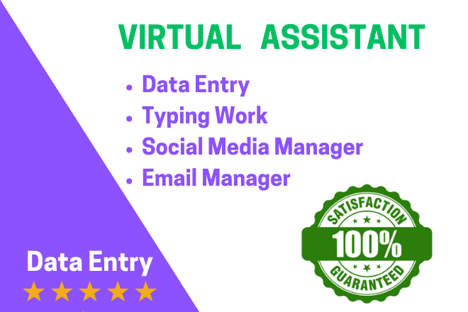 Full time virtual assistant to handle your daily oper...