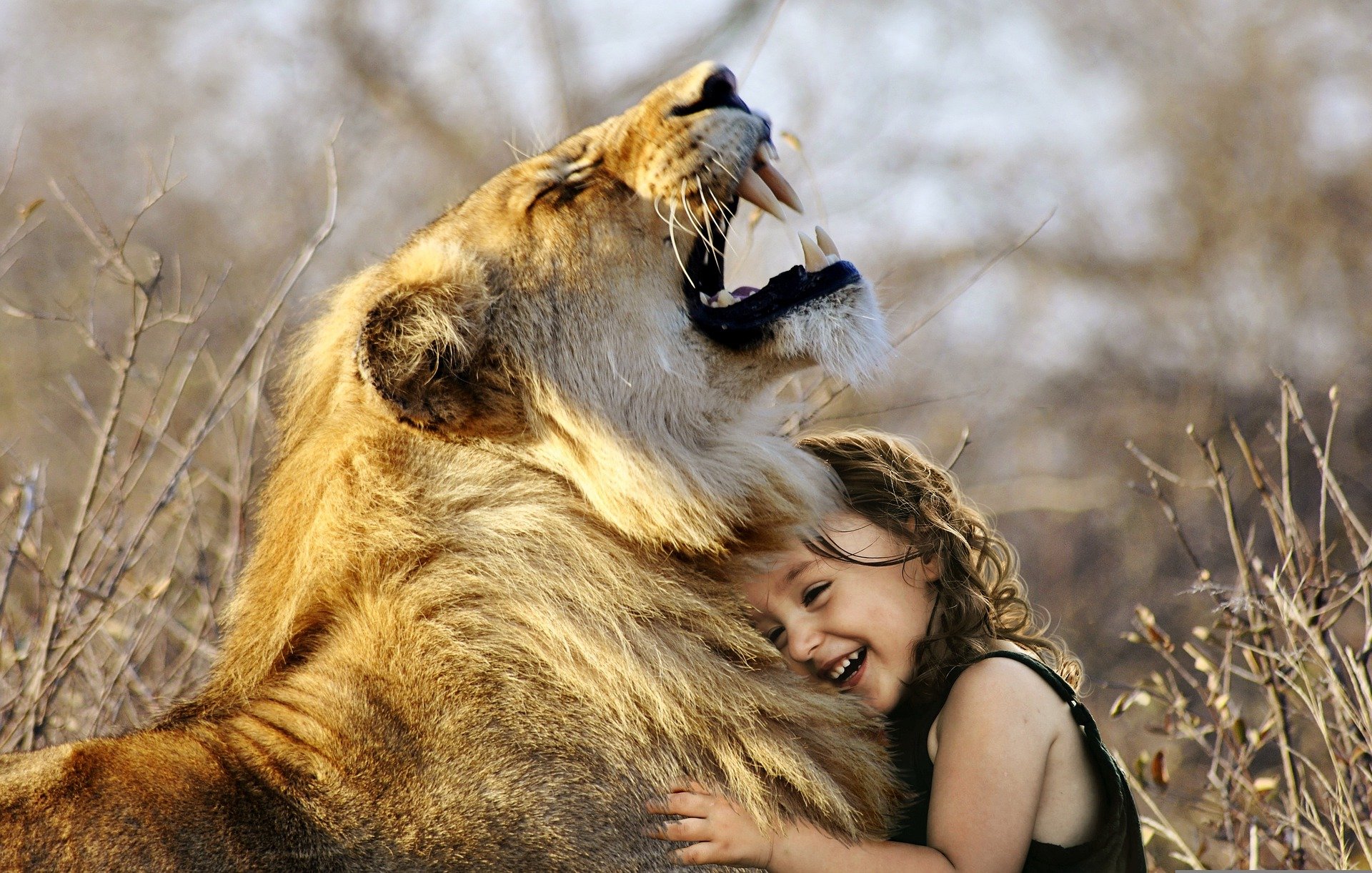 I will create cute and funny animal videos