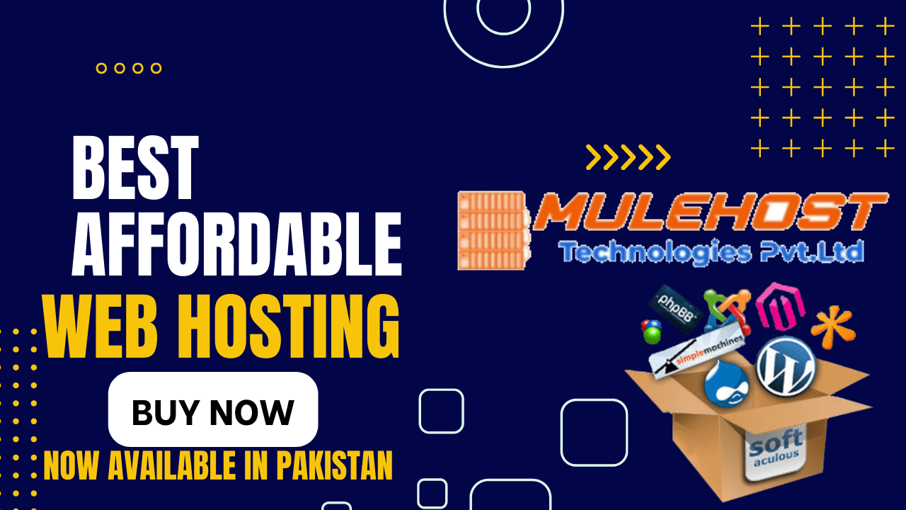 10 Year Unlimited Website Hosting with Pro Features L...
