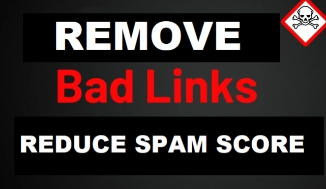 I will Remove All Bad and Spammy Backlinks To reduce ...