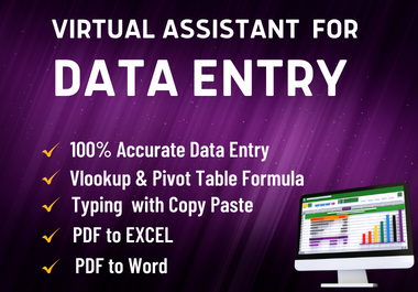 I will be your professional virtual assistant for Exc...