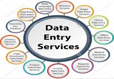 Data Entry, Typing, Copy and Paste works provided b...