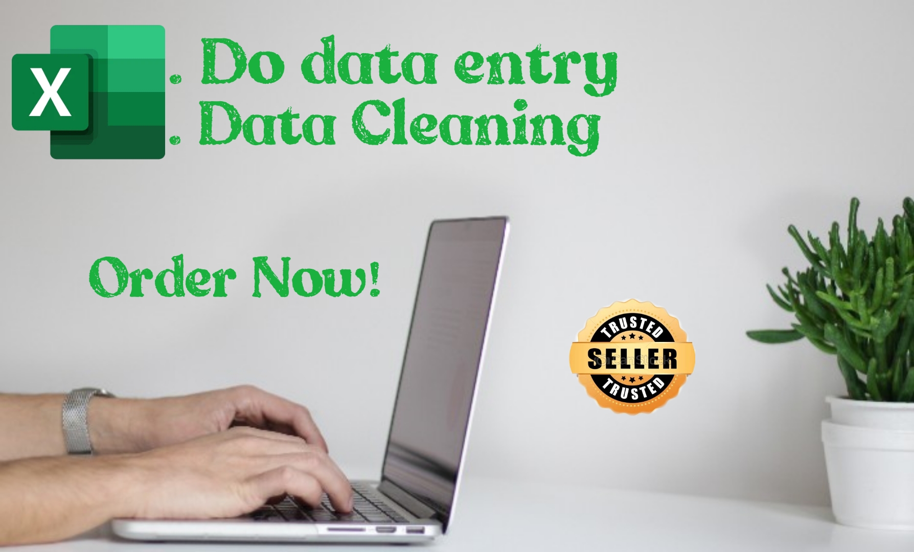 I will do data entry/cleaning in Microsoft excel onli...