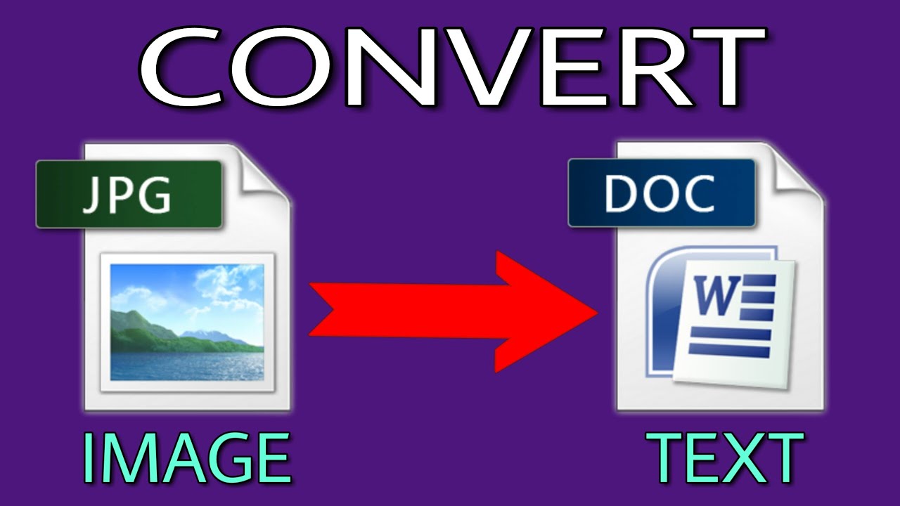 I will Extract Text from your any image and will conv...