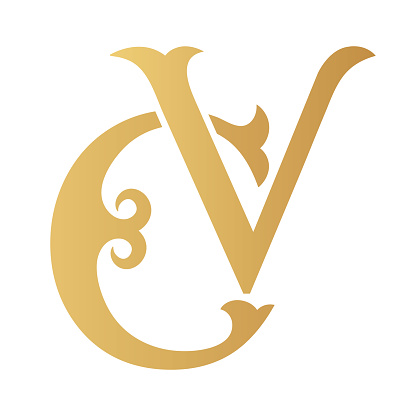 Professional CV Making I will be your professional CV...
