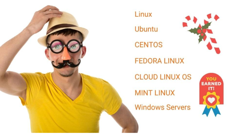 Setup windows and linux on virtual private servers vp...