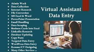 I will do all types of professional data entry accord...