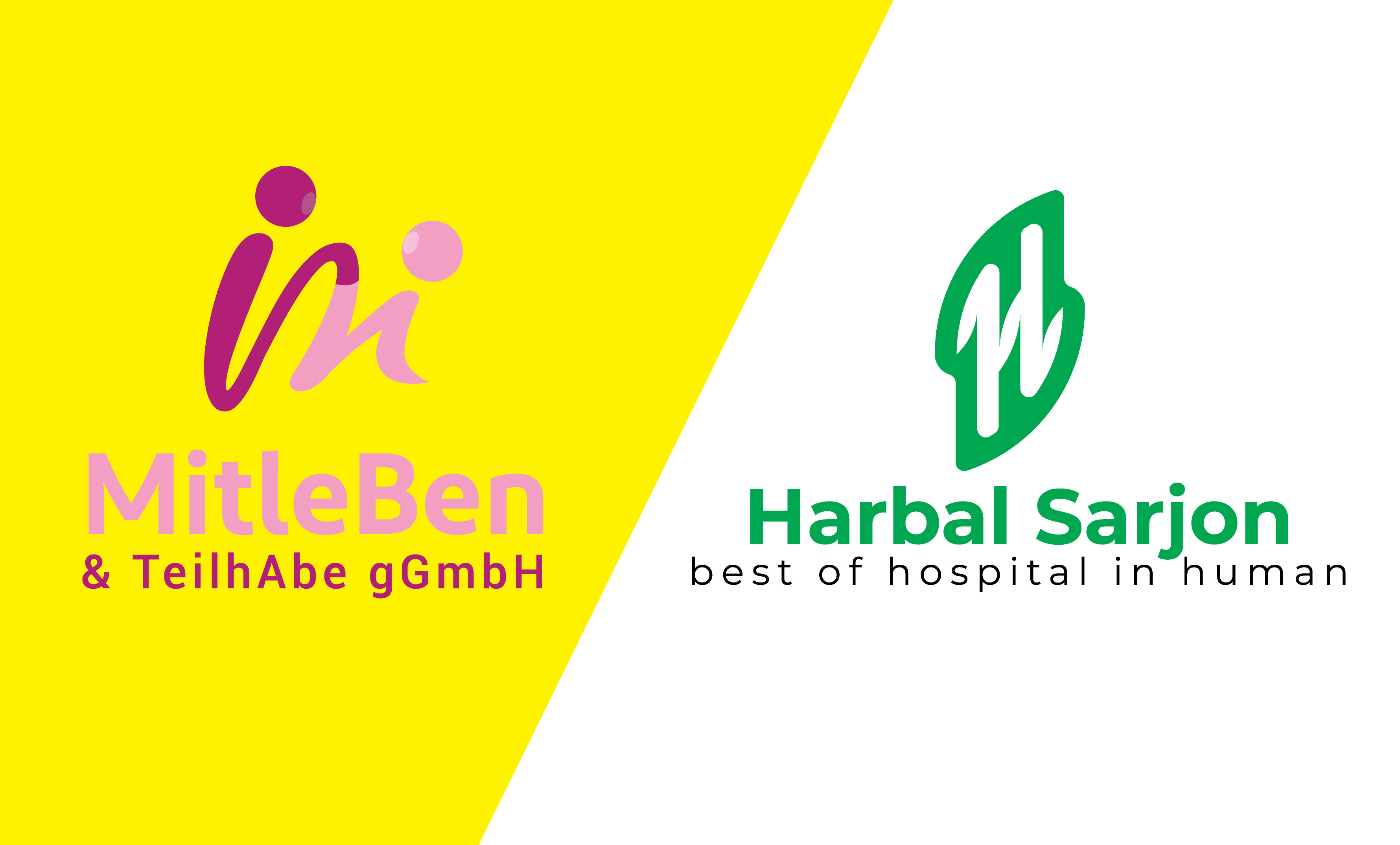 I will design a premium and modern business logo