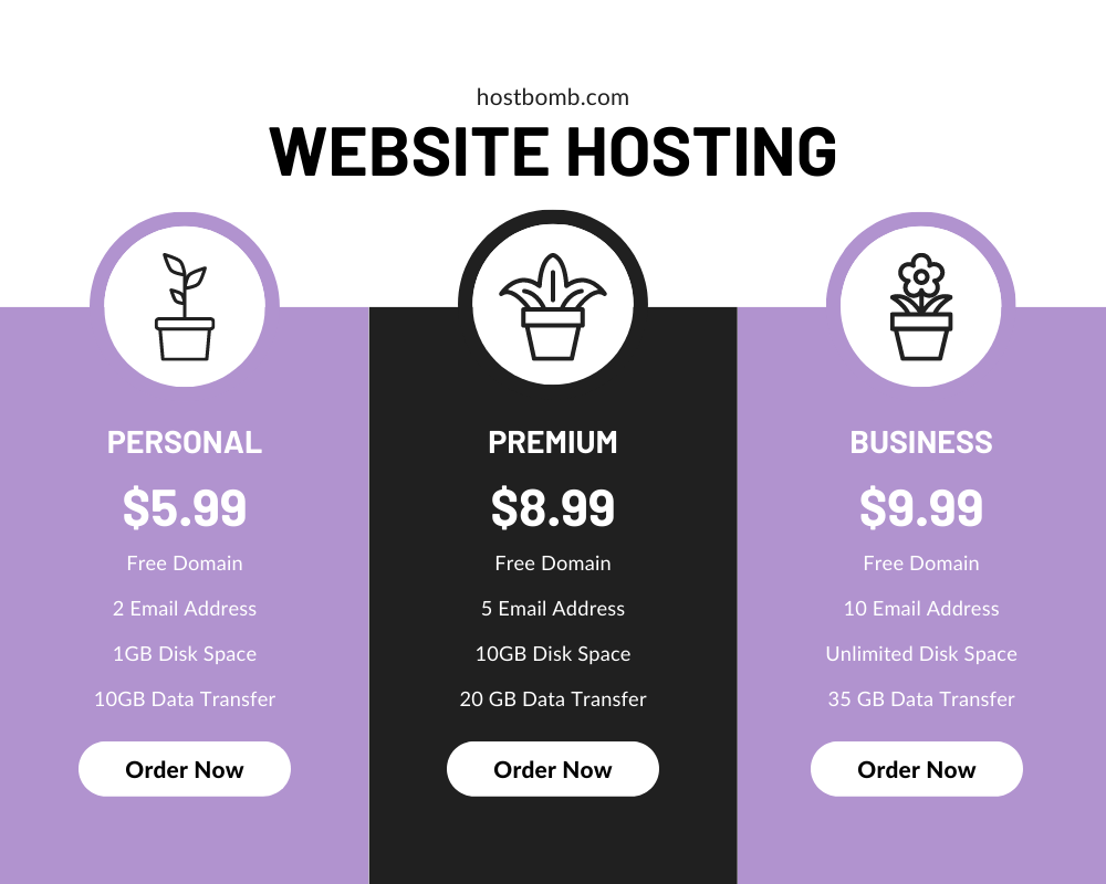 Give you the web hosting plan with domain name includ...