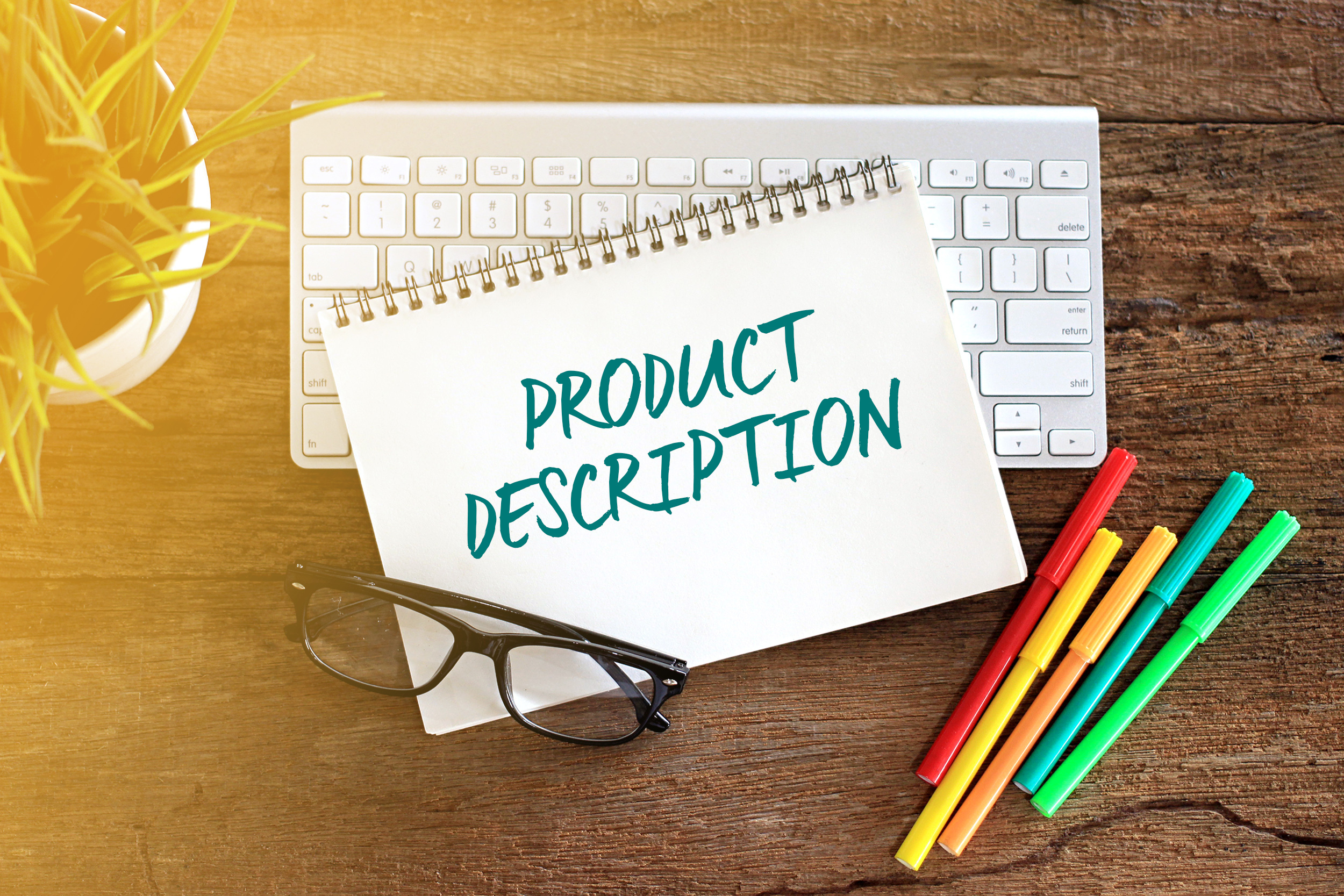 Expert Product Description Writer Offering High-Quali...