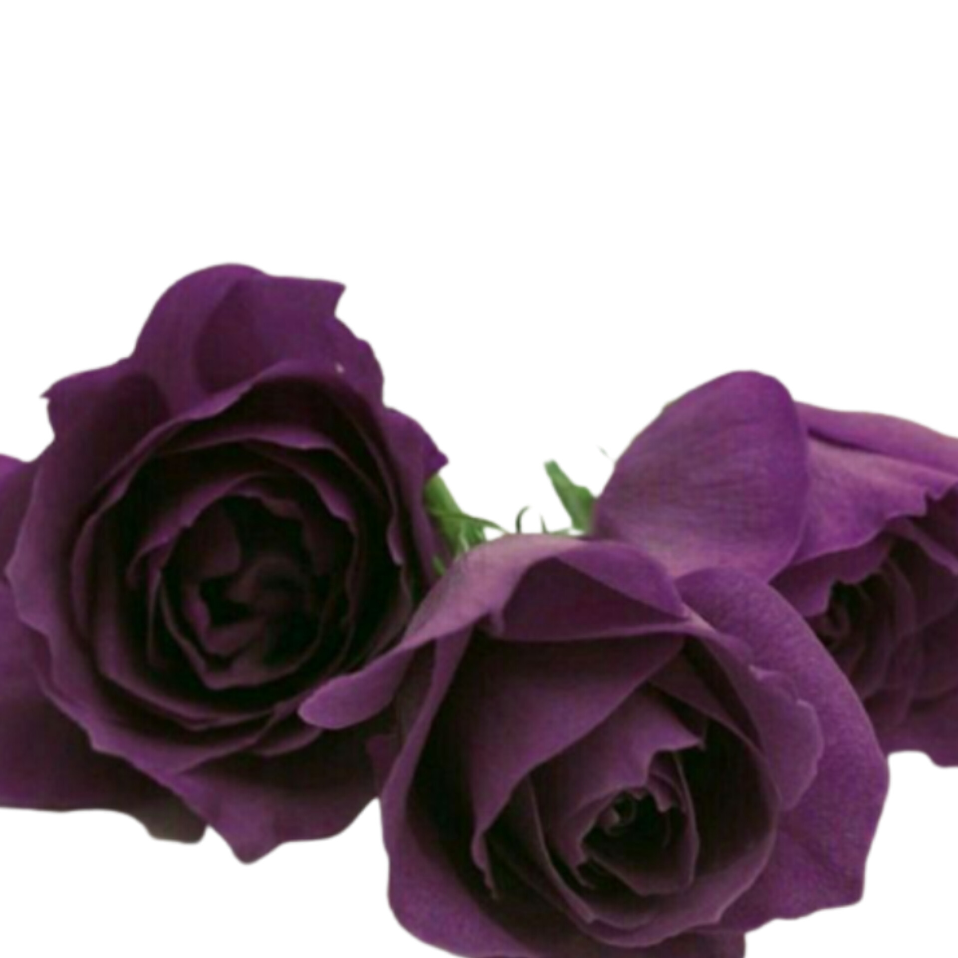 I will remove the background of your pictures in 20 m...