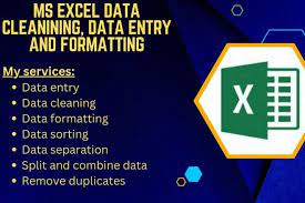 Top-Ranked Data Expert for Data Cleaning, Entry, Fo...