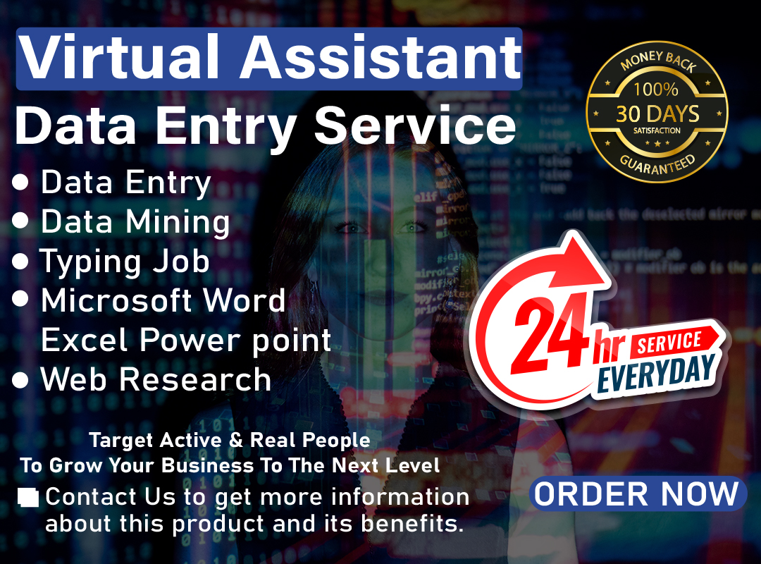 Professional Virtual Assistant for Data Entry, Web S...