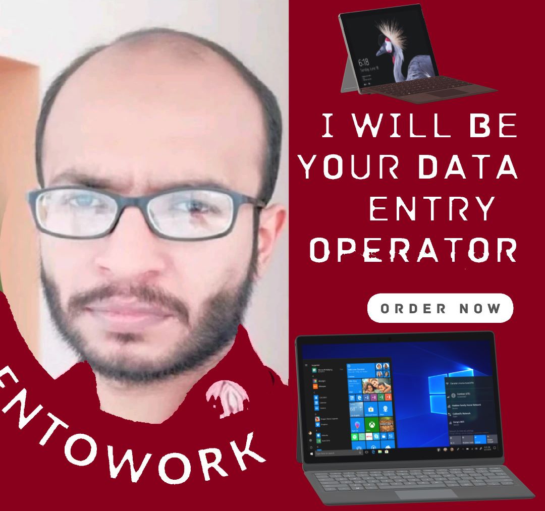 I will do any type of data entry or web research work