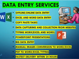 I am the king of copy & paste, data entry. I wil...