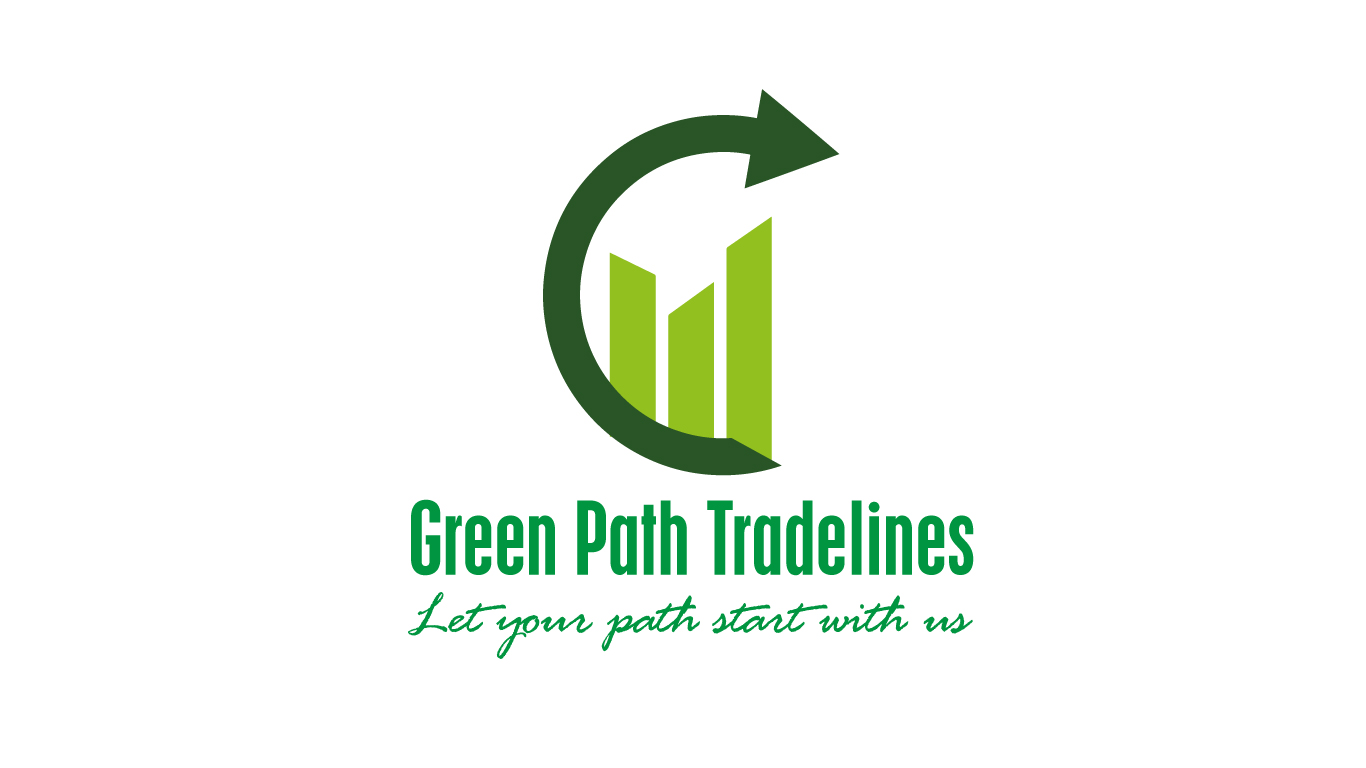 Premium, Professional and Unique Logo Design Service