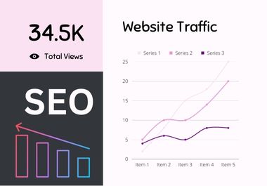 I will provide WordPress SEO and fix all issues