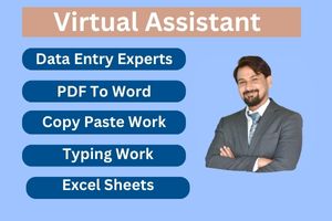 Virtual assistant for Efficient Data Entry, Copy-Pas...