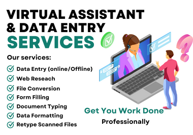Expert Data Entry and Virtual Assistant for Copy Past...