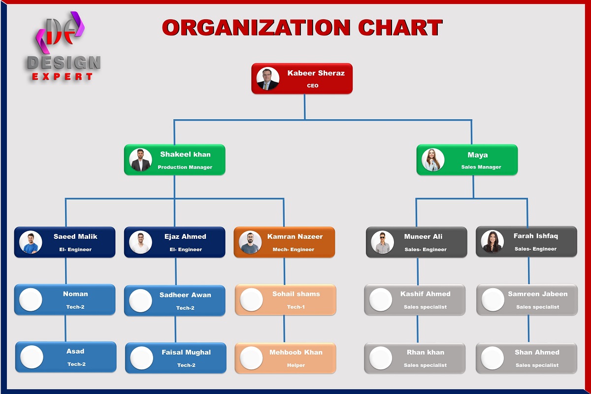I will design professional organization chart, workf...