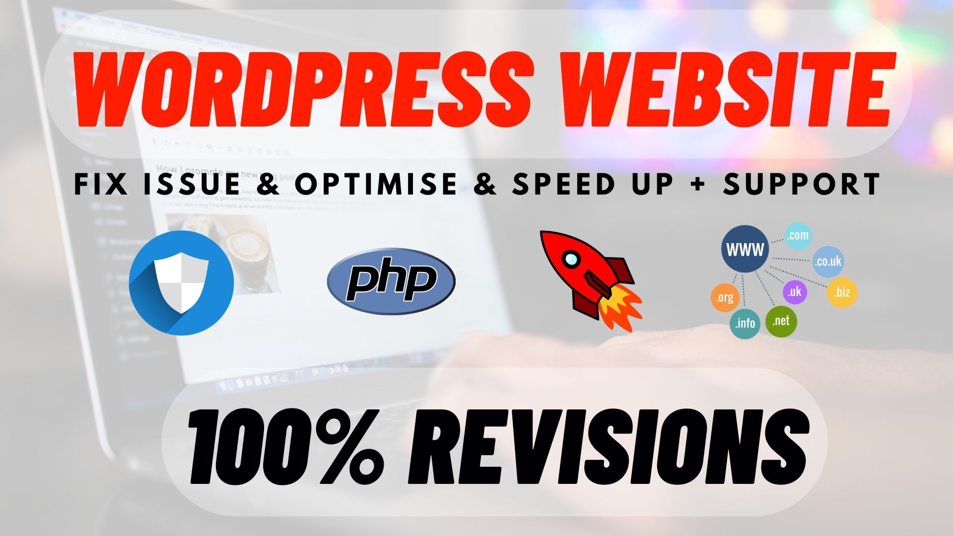 Fix Issue & Optimise WordPress Website
