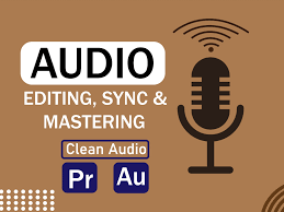 I will do podcast audio editing, clean up, fix, sy...