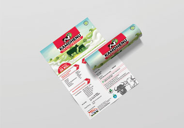 In just 12 hours, I can design attractive flyers