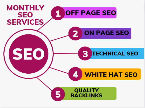 I will do white hat monthly SEO services using high a...