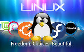 I support Linux and Network support, so you give one...