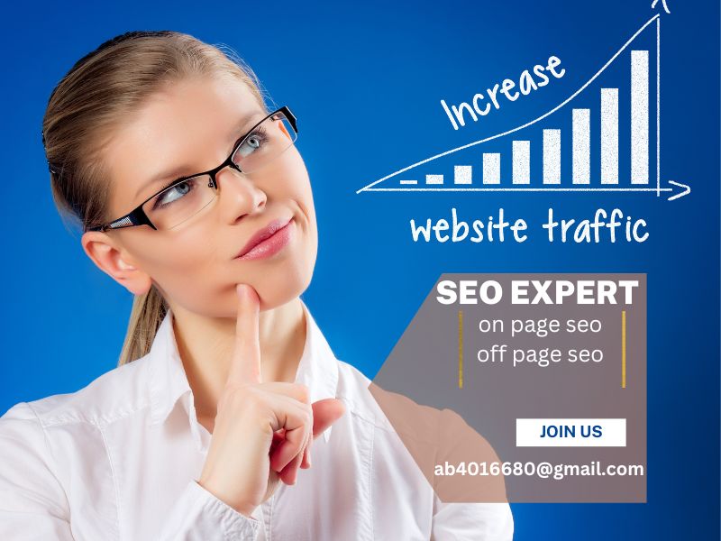 I am seo expert.I shall do link build campaign to est...