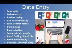 I will do excel data entry, web research, copy past...