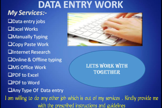I will do excel data entry, web research, online da...