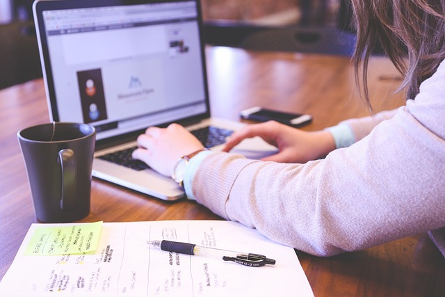 I will write a product review article or SEO product ...