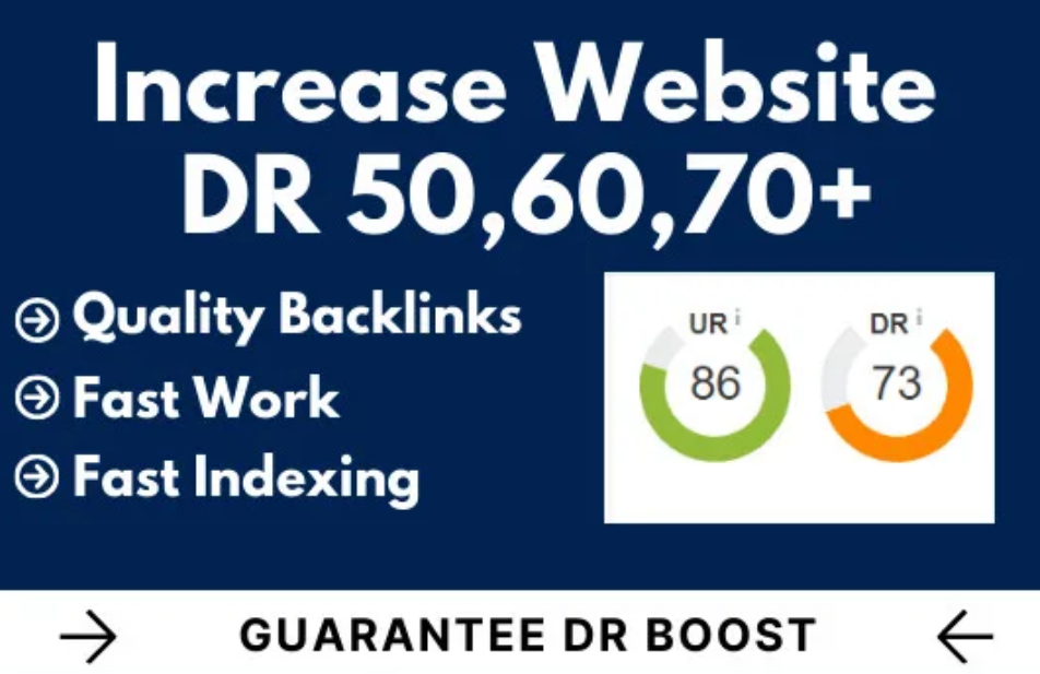 Increase Ahrefs DR 30+ of your website 100 Manualy Wo...