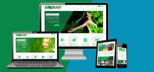 I will Create a exciting WordPress website for your b...