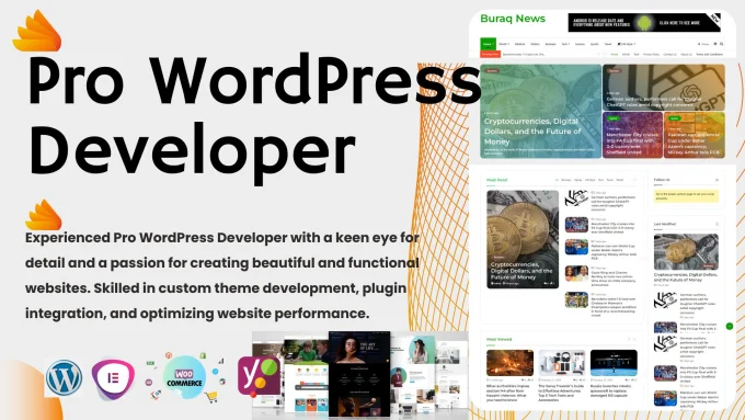 I will design and develop wordpress premium websites ...