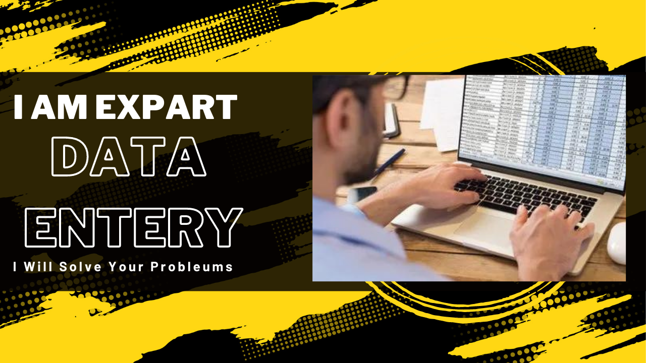 I will be your professional excel data entry or wab r...
