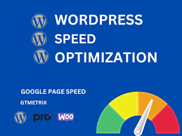 I will increase WordPress speed optimization for Goog...