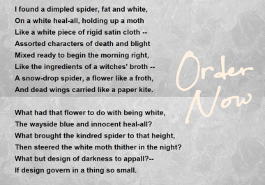 I will write amazing kids poem, poetry and short sto...