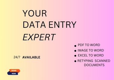 I will do a fast data entry typist job, retype scann...